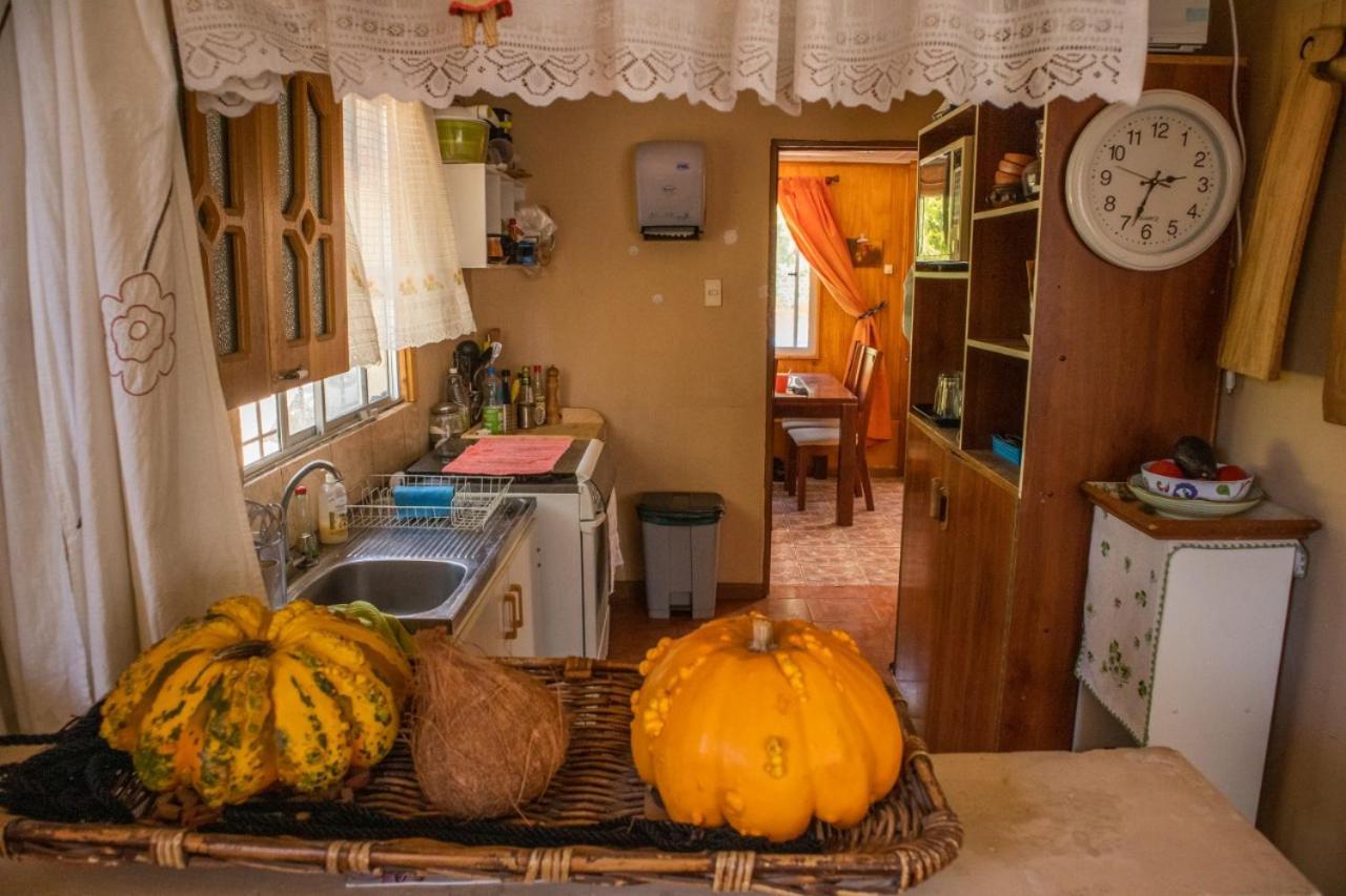 La Huerta Διαμέρισμα Vicuña Εξωτερικό φωτογραφία